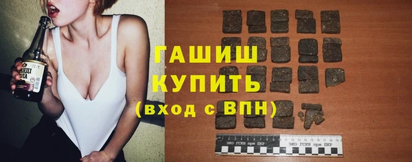 хмурый Алексин