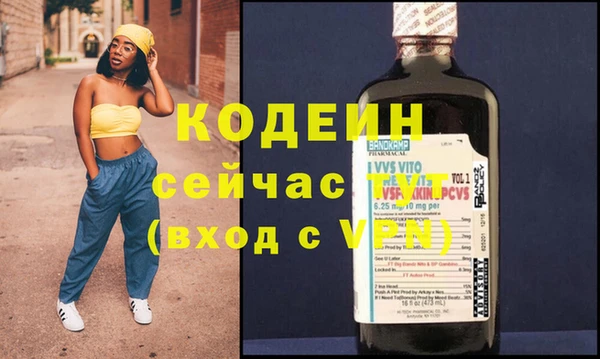 хмурый Алексин