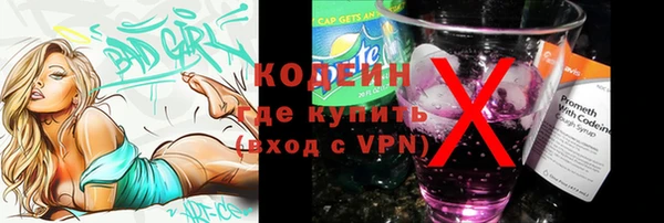 хмурый Алексин